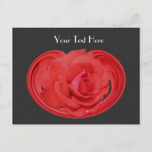 Red Rosebud Black Floral Customizable Postcard