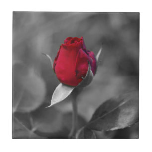 Red Rosebud tile