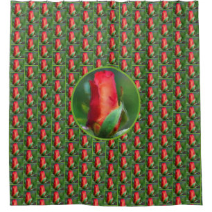 Red Rosebud Watercolor Painting