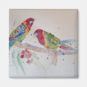 Red Rosella Parrot Watercolour Painting Magnet