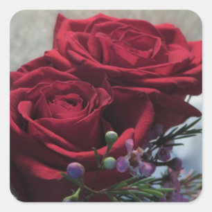 Red Roses 1a Square Sticker