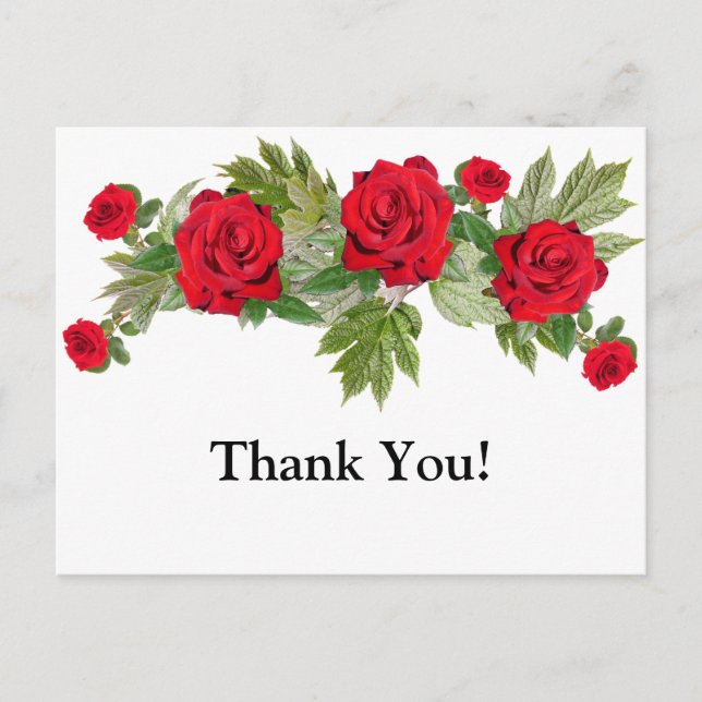 Red Roses 3 Thank You Graduation Postcard (Front)