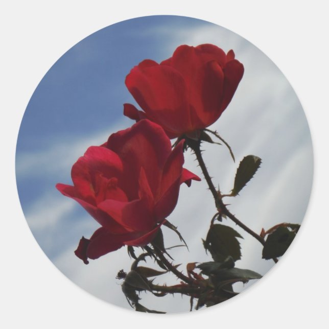 Red Roses Against a Bright Blue Sky Classic Round Sticker (Front)