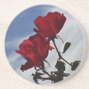 Red Roses Against a Bright Blue Sky Coaster
