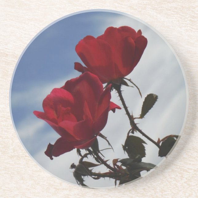 Red Roses Against a Bright Blue Sky Coaster (Front)