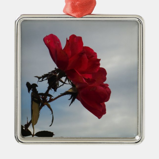 Red Roses Against a Bright Blue Sky Metal Ornament (Front)