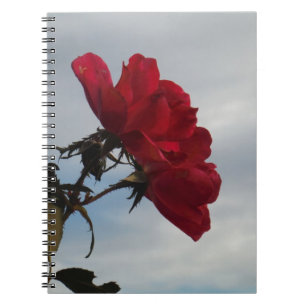 Red Roses Against a Bright Blue Sky Notebook