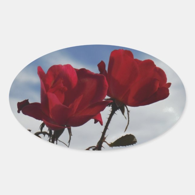 Red Roses Against a Bright Blue Sky Oval Sticker (Front)