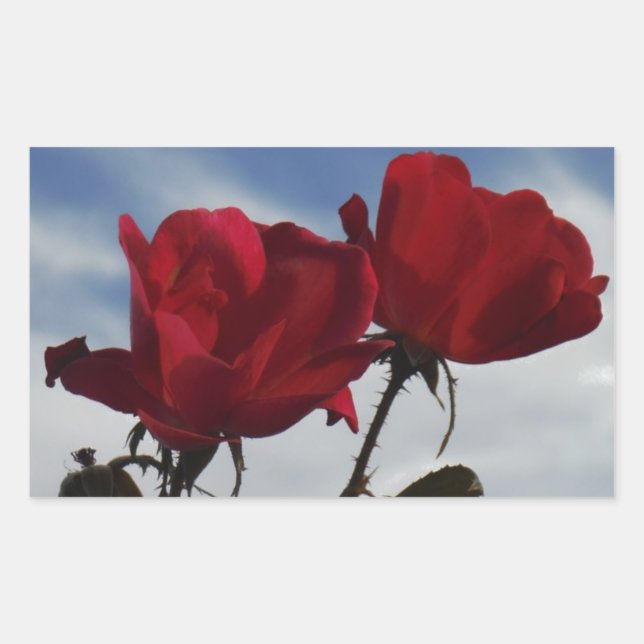 Red Roses Against a Bright Blue Sky Sticker (Front)