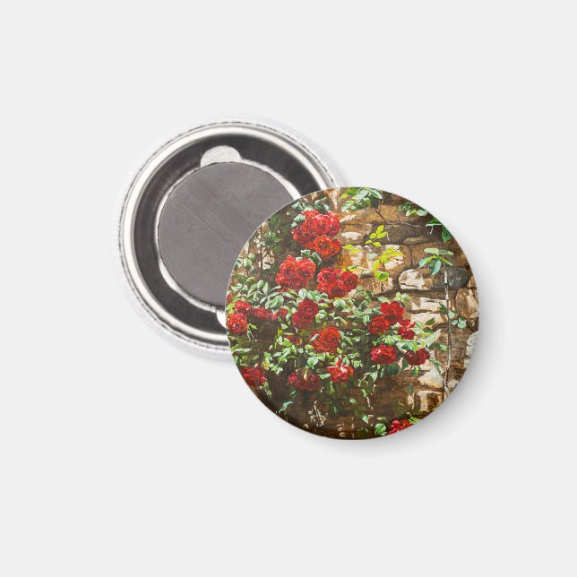 Red Roses Against a Stone Wall Magnet (Front/Back)