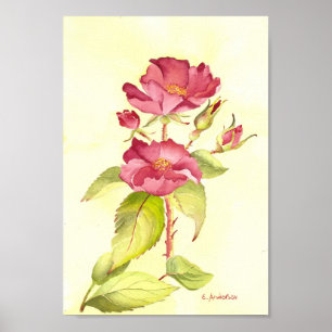 Red roses and buds watecolor yellow background poster