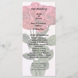 Red Roses and Leaves Program
