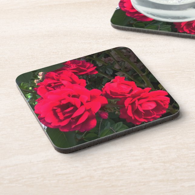 Red Roses Blooming   Coaster (Left Side)