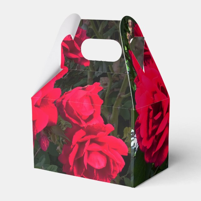 Red Roses blooming  Favor Box (Front Side)