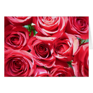 Red Roses Bunch card