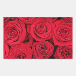 Red roses by Therosegarden Sticker