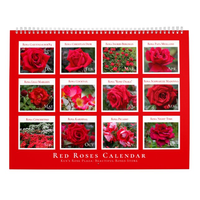 Red Roses Calendar (Type-A) (Back)