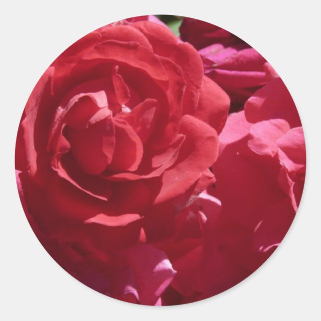 Red Roses Classic Round Sticker (Front)