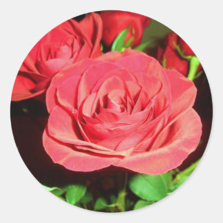 Red Roses Classic Round Sticker