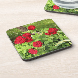 Red Roses Cork Coaster