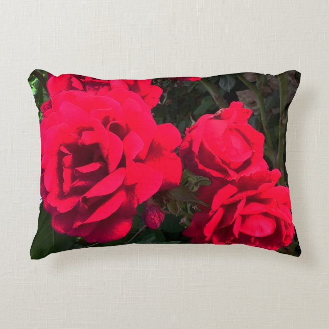 Red Roses Flowers  Accent Pillow (Front)