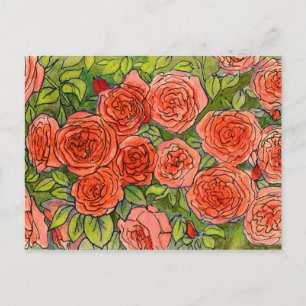 Red Roses, Green Leaves Rose Garden Floral Sketch Postcard