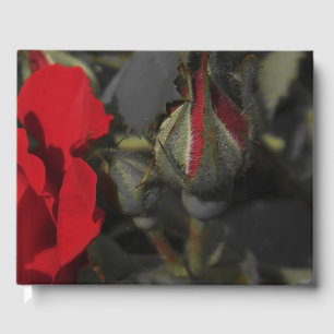 red roses in black Wedding guestbook, festive Guest Book