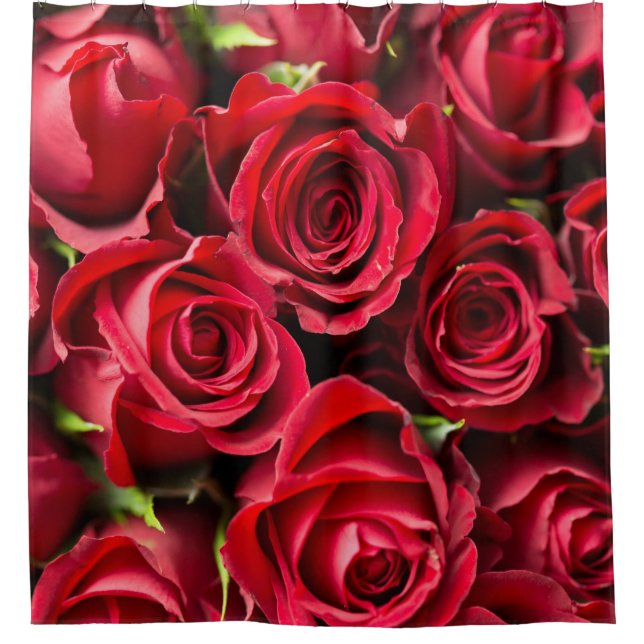 Red Roses Luxury Shower Curtain (Front)