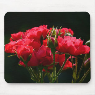 Red Roses Mouse Pad