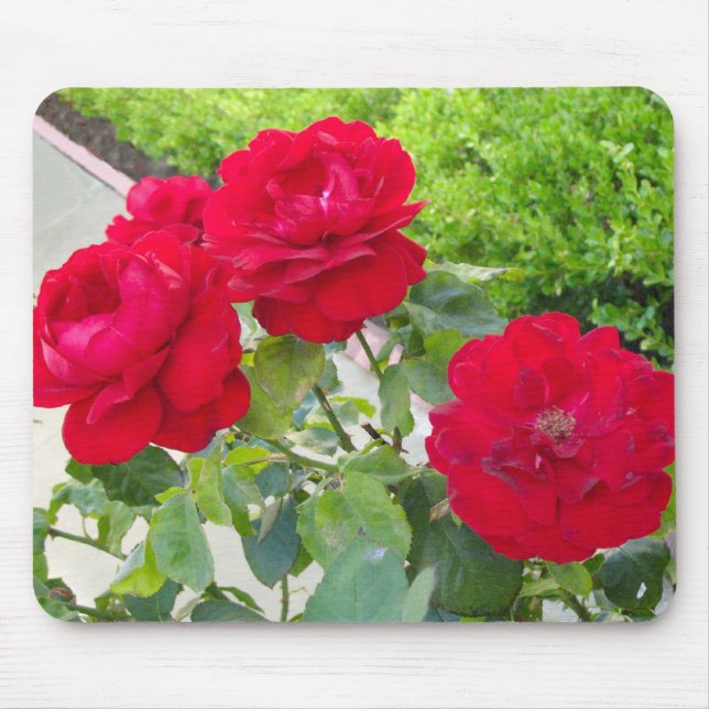 Red Roses Mouse Pad (Front)