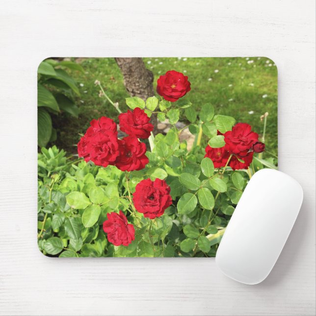 Red Roses Mousepad (With Mouse)