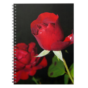 Red Roses Notebook
