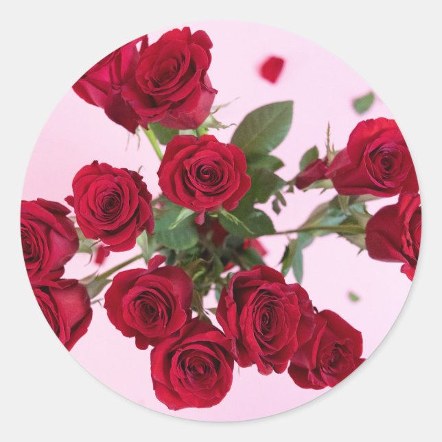 Red Roses on Pink Elegant Romantic Classic Round S Sticker (Front)