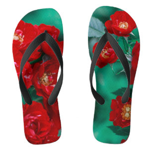 Red Roses Pale Green Leaves Flip Flops