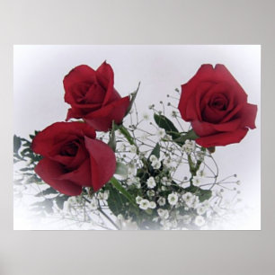 Red Roses Poster