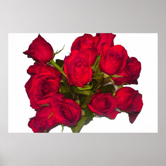 Red Roses Poster (Front)