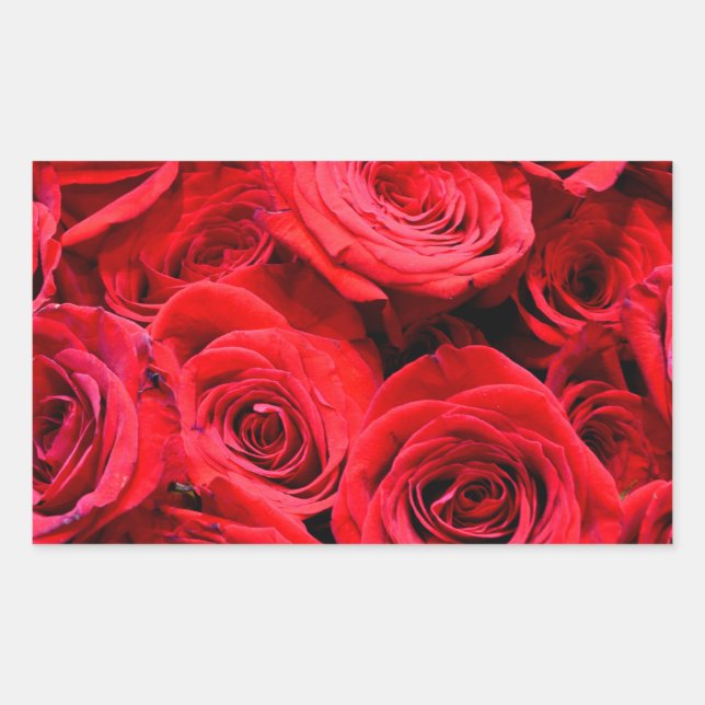 Red Roses red floral red flowers Sticker (Front)