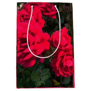 Red Roses Rosarium Medium Gift Bag