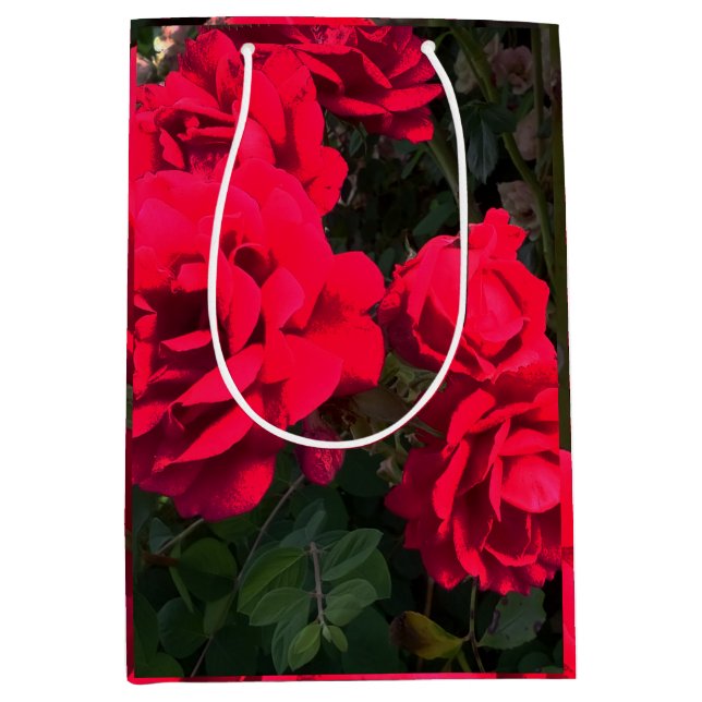 Red Roses Rosarium  Medium Gift Bag (Front)
