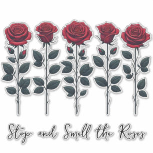 Red Roses - Stop & Smell The Roses