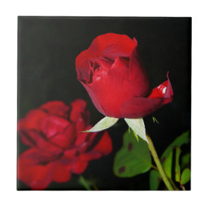 Red Roses Tile