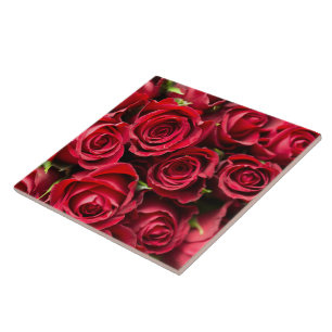 Red Roses Tile
