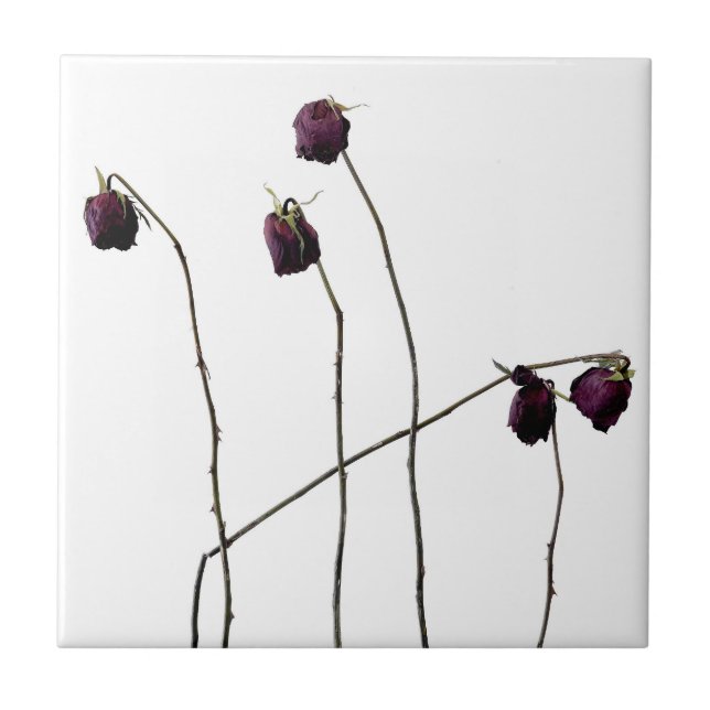 Red Roses Tile (Front)