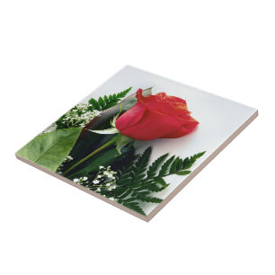 Red roses tile