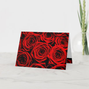 Red Roses Valentine's Holiday Card