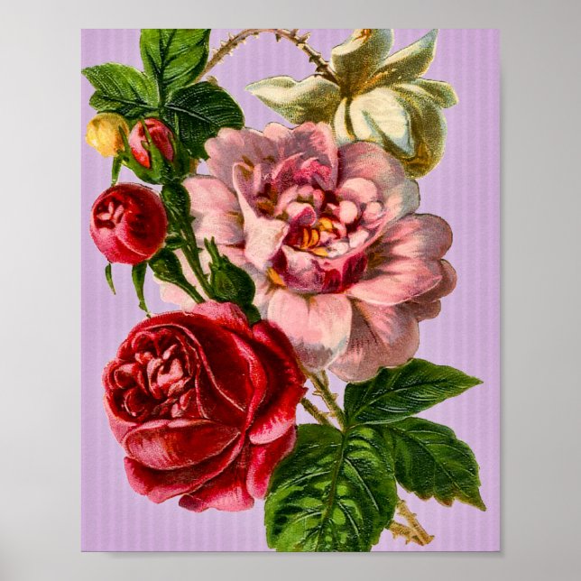 Red Roses Vintage Floral Poster (Front)