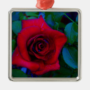 Red Roses with blue tones Metal Ornament