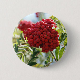 Red Rowan Berries 2 Inch Round Button