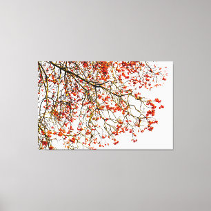 Red rowan fruits or ash berries canvas print