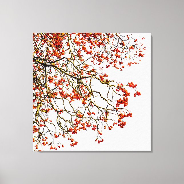 Red rowan fruits or ash berries canvas print (Front)